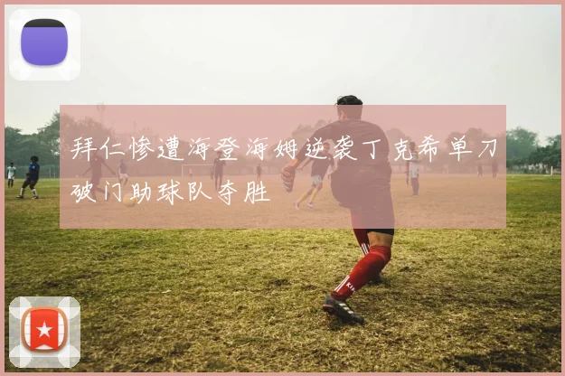 拜仁惨遭海登海姆逆袭丁克希单刀破门助球队夺胜