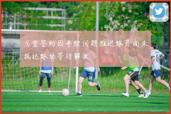 戈登签约因手续问题推迟球员尚未抵达球场等待解决